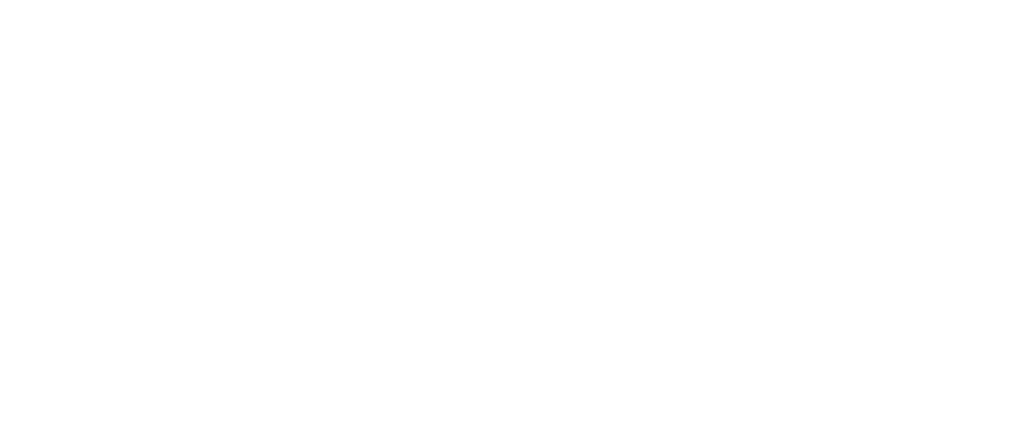 Human Insights Logo
